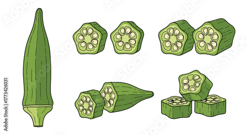 Illustration of a whole okra pod and several sliced okra pieces on a white background.