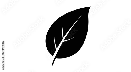 Leaf icon with transparent background