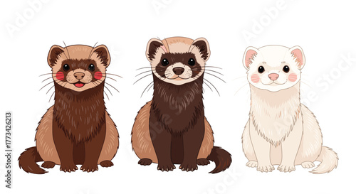 Three adorable cartoon ferrets in a row, each with a unique coat color, posing on a white background, perfect for pet-related designs.