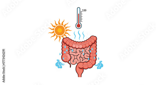 Hot gut inflammation illustration: sun and thermometer indicating heat, dehydration, digestive distress, health and wellness concept.