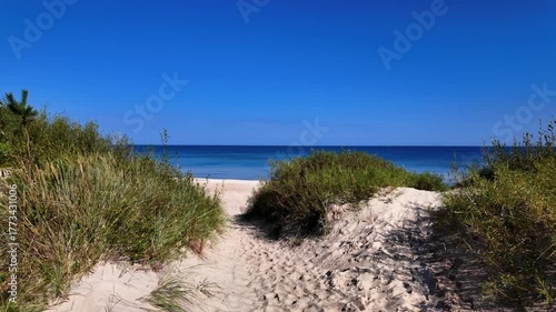 Sandy beach path through dunes and greenery leading to a calm blue ocean under a clear sky, capturing the serenity and beauty of a peaceful coastal landscape.