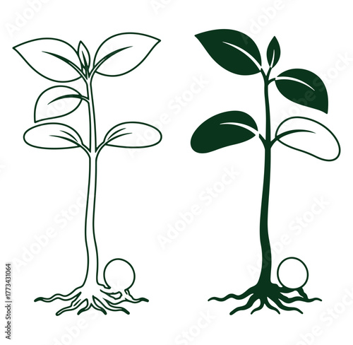 Vector illustration of a green sprout representing growth life and nature on a white background