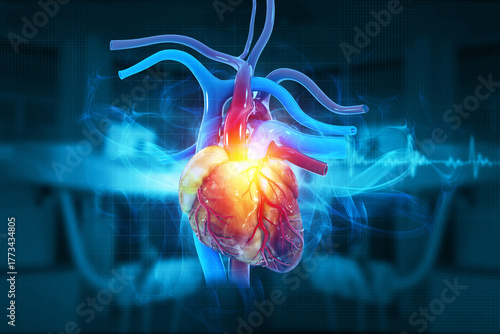 Human heart on ecg background. 3d illustration