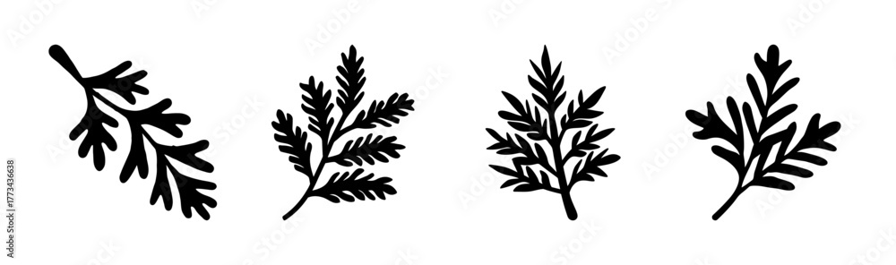 Fototapeta premium Four stylized black fern leaves vector set botanical illustration elements.