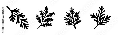 Four stylized black fern leaves vector set botanical illustration elements.