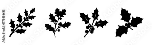 Four holly sprig silhouettes set distressed grunge style christmas decor vector