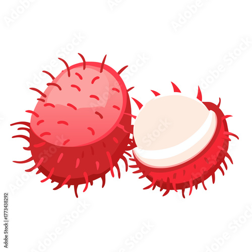 Rambutan fruit whole and half vector