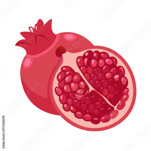 Pomegranate fruit whole and half vector