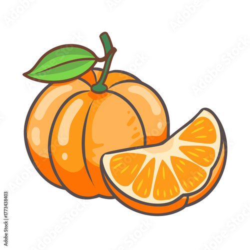 Fresh orange with slice, vector illustration