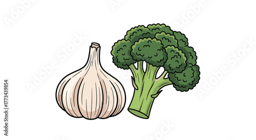 A detailed cartoon illustration featuring a whole garlic bulb alongside a fresh head of green broccoli, depicted on a clean white background.