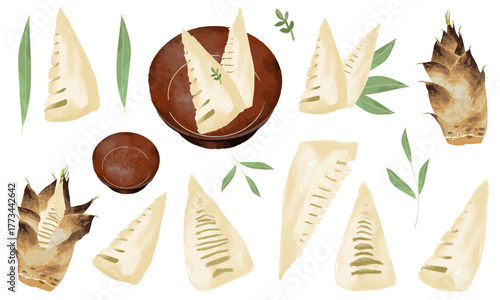 タケノコ（おせちや和食の食材として）のイラスト素材セット