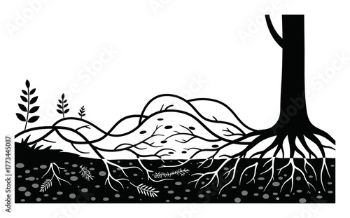 Minimalist Vector Mycelial Network Design: Wood Wide Web Forest Connection