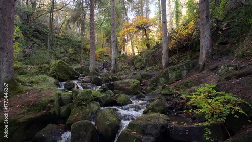 Vibrant mossy autumn woodland and cascading water at Wyming Brook in the Derbyshire, Peak District National Park.