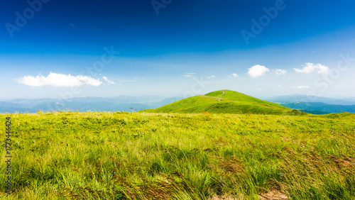 Fotografie alpine mountain landscape with green meadows in summer