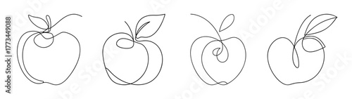 Four pencil sketch apples with leaves and stems organic fruit art