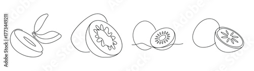 Four detailed line drawings of kiwifruit showing various views and cross sections
