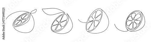 Detailed sketch of lime slices and whole fruit showing zest texture