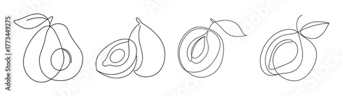 Sketchy line art of four lucuma fruits with stems and leaves