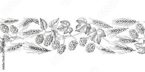 Hop and malt seamless border vector