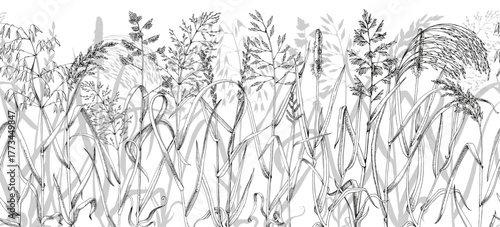 Wild grass seamless vector pattern