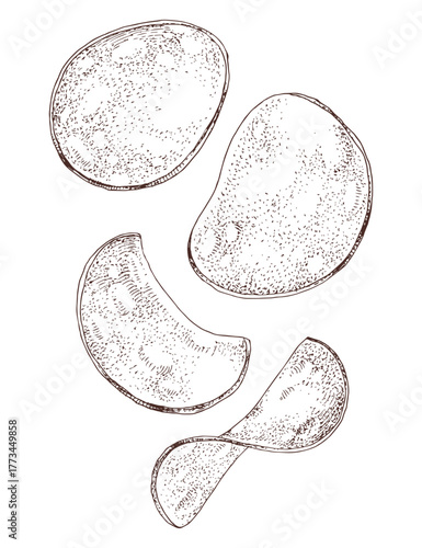 Falling potato chips sketched vector