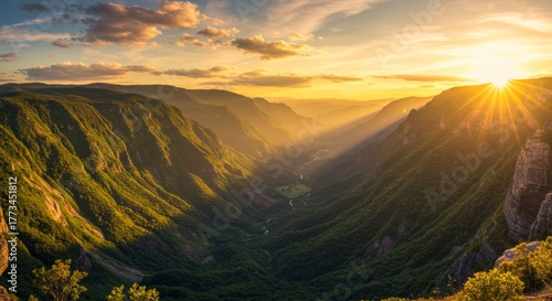 Golden Hour Sunset Over Lush Green Canyon Valley