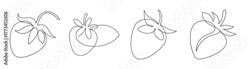 Detailed anatomical diagrams of human hearts in sequential views for education