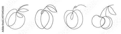 Four simple line drawings of plums with stems and leaves