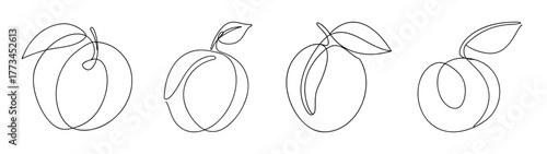 Line art drawing of four ripe plums with leaves and stems ready for harvest