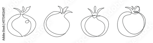 Four pomegranate sketches with bows and leaves botanical art
