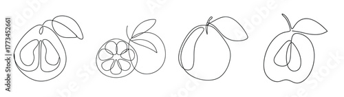 Four stylized line art representations of a pomelo fruit