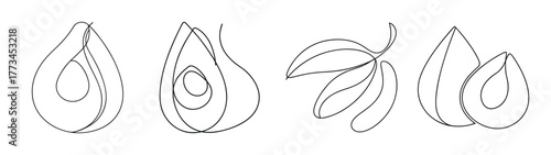 Line art drawings of salak snake fruit various views and cuts