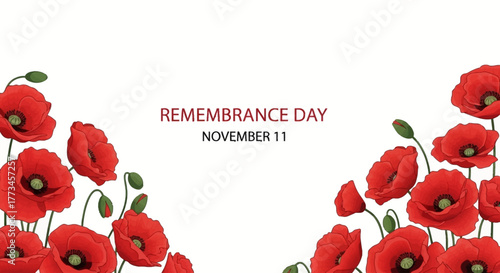 Remembrance Day illustration with red poppies on a white background.