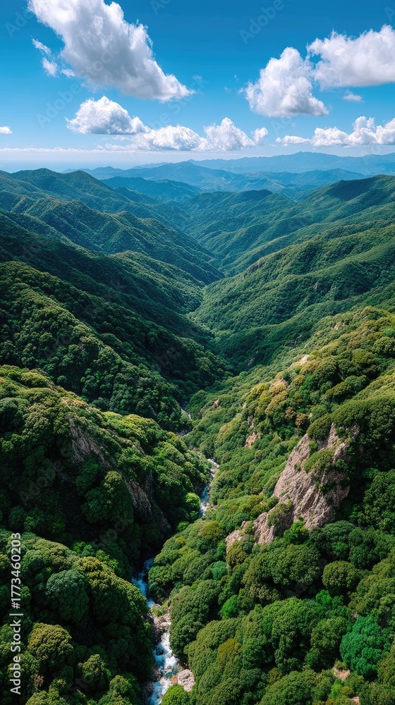 Naklejka premium Lush Green Valley With A River Flowing Through Dense Forested Slopes Under A Blue Sky With Fluffy White Clouds