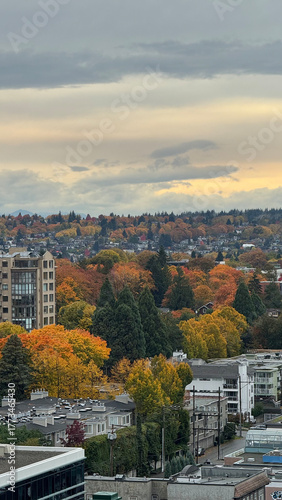 Scenic view of Vancouver West residential area with colorful autumn trees and city homes, British Columbia, Canada.
