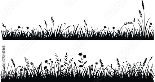 Wild grass and flower silhouette vector, black botanical strips, nature border design, meadow plants illustration, floral elements for decoration, white background