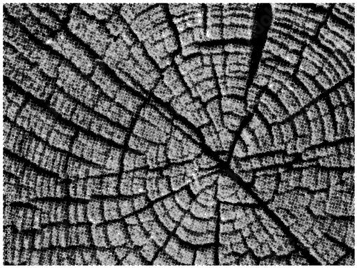 Abstract Halftone Background