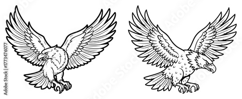 Flying Eagle Mascot Vector Illustrations Detailed Hawk Bird of Prey in Vintage Line Art Style