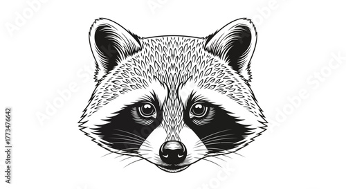 Vector illustration of closeup portrait of a raccoons face, meticulously drawn with intricate detail, showcasing its distinctive mask and curious eyes, isolated on a clean