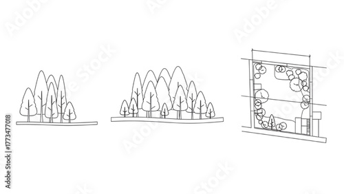 Collection of minimalist landscape architecture sketches showing tree elevations and a site plan diagram