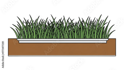 Cross-section diagram of green grass growing in a container embedded in garden soil for landscaping