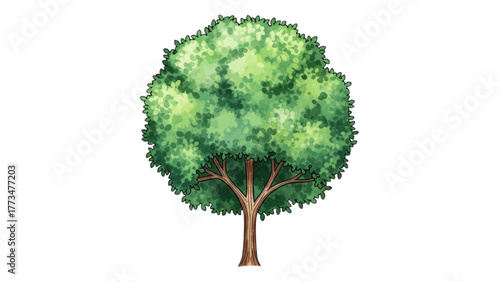 Vibrant Green Leafy Tree Illustration Symbolizing Nature's Growth and Environmental Beauty, Perfect for Eco-Friendly Designs and Natural Concepts