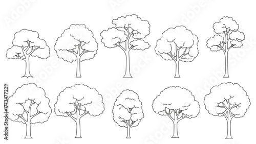 Line Art Tree Collection Diverse Outlines for Nature, Landscape, and Design Elements