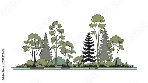 Photos Abstract forest illustration featuring a harmonious blend of tall trees, bushy s