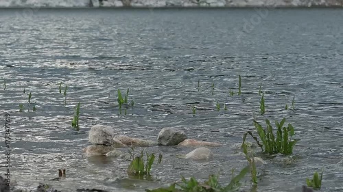 Paz y Quietud en la Orilla del Agua, Beniarres, España