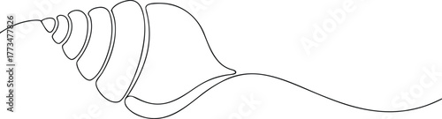 Single line drawing of a conch shell seashell marine life