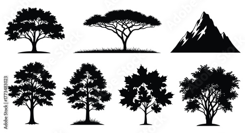 Silhouette of various trees and a mountain, showcasing different shapes and sizes