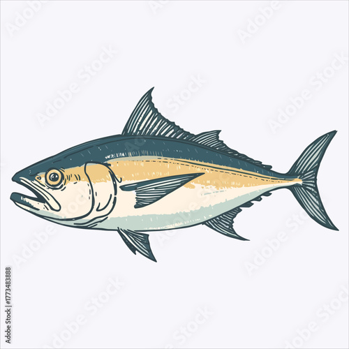 Vintage woodcut style illustration of a tuna fish species