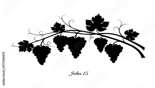 Black Vector Silhouette: Grapes and Vine (John 15)
