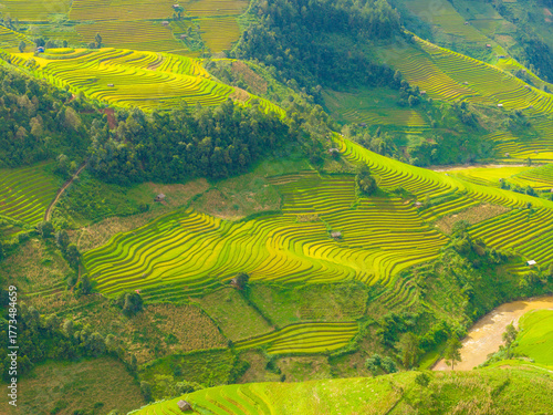 Aerial view of golden rice terraces at Mu Cang Chai town near Sapa city, North of Vietnam. Beautiful terraced rice field in harvest season in Yen Bai province.